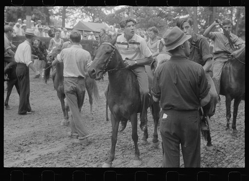 Untitled photo, possibly related to: Lineup for pony race at county fair, central Ohio