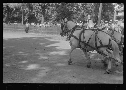 Untitled photo, possibly related to: Weight-pulling contest, county fair in central Ohio