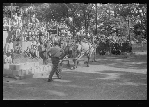 Weight-pulling contest, county fair in central Ohio