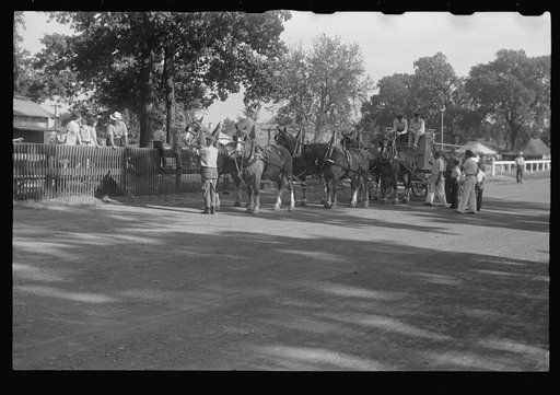 Untitled photo, possibly related to: Dairy show horses at county fair, central Ohio