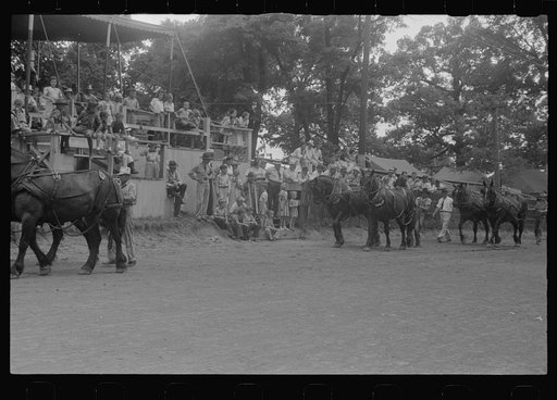 Untitled photo, possibly related to: Livestock display, county fair, central Ohio
