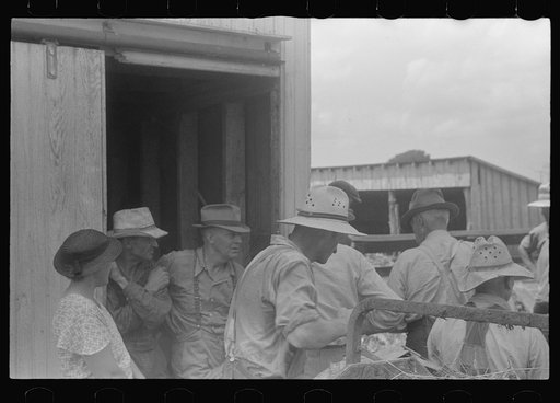 Untitled photo, possibly related to: Farmers at public auction, central Ohio