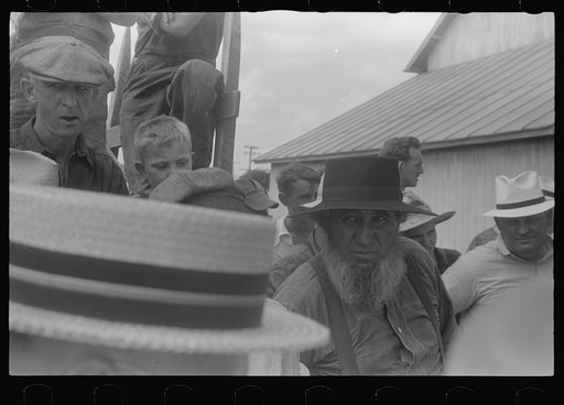 Farmers at public auction, central Ohio