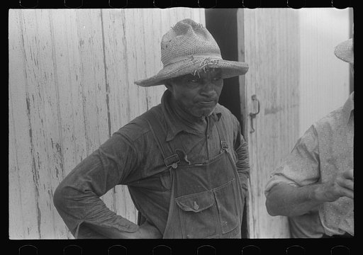 Farmer at public auction, central Ohio