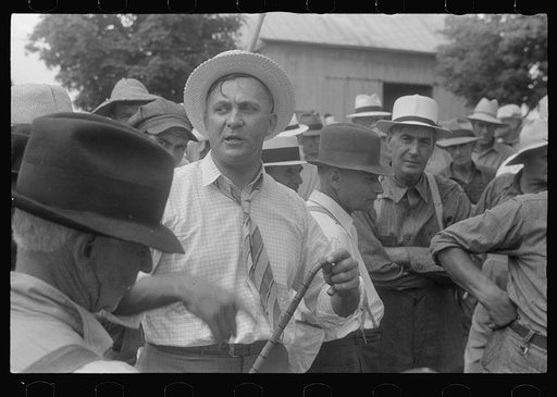 Auctioneer at public auction, central Ohio