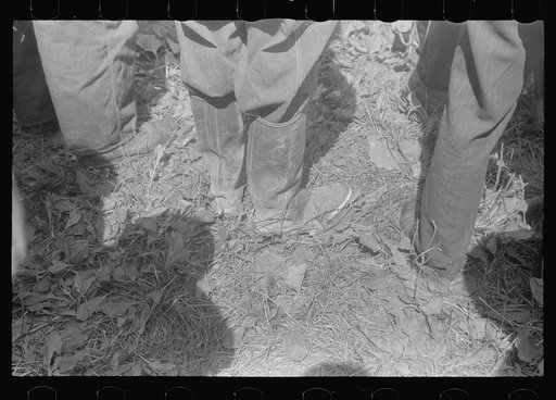 Farmers at public auction, central Ohio
