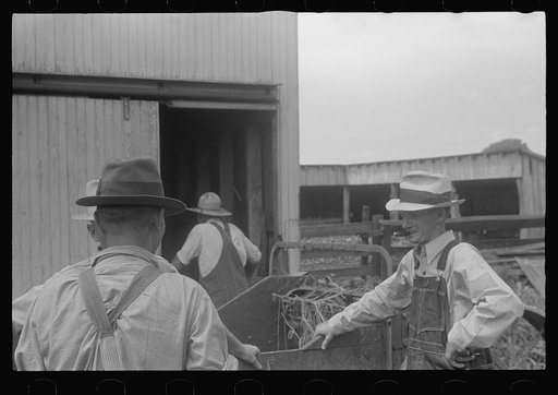Untitled photo, possibly related to: Farmers at public auction in central Ohio