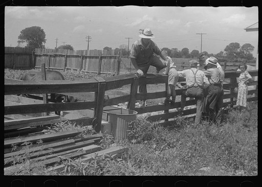 Untitled photo, possibly related to: Farmers at public auction, central Ohio