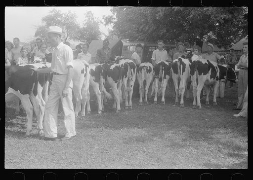 Untitled photo, possibly related to: At the county fair, central Ohio