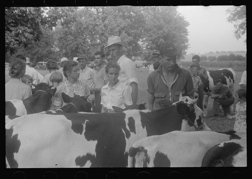 Untitled photo, possibly related to: At the county fair, central Ohio