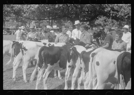 Untitled photo, possibly related to: At the county fair, central Ohio