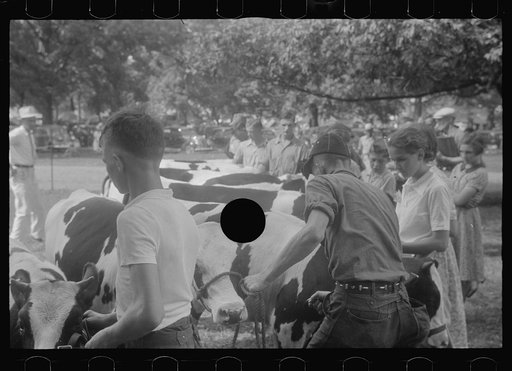 Untitled photo, possibly related to: At the county fair, central Ohio