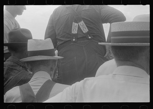 Spectators at county fair, central Ohio