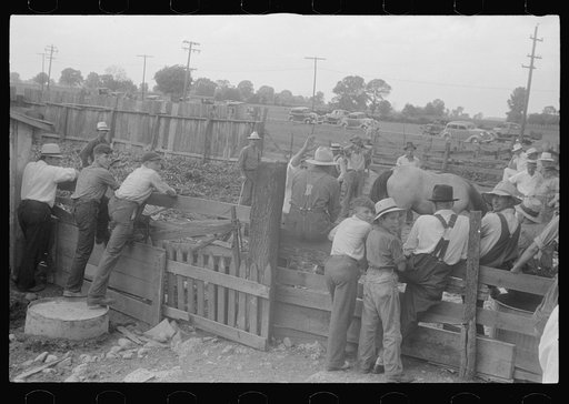 Untitled photo, possibly related to: Public auction in central Ohio