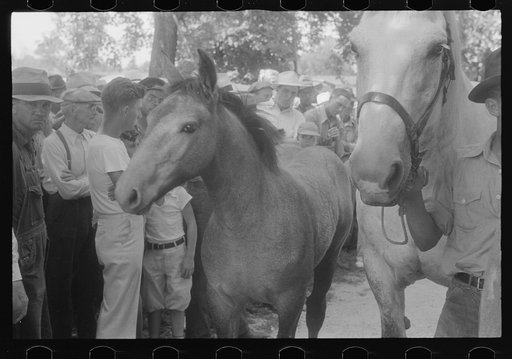 Untitled photo, possibly related to: Public auction in central Ohio