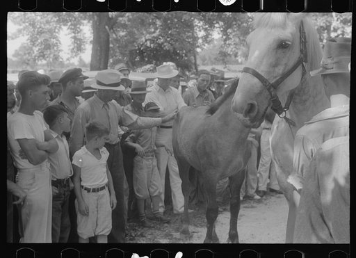 Untitled photo, possibly related to: Public auction in central Ohio