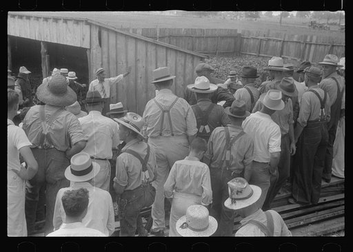 Spectators at public auction, central Ohio