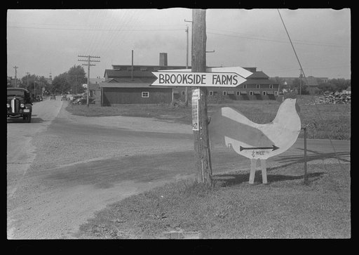 Signs, Route 40, central Ohio