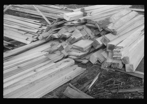 Scenes of the northern Shenandoah Valley, including the Resettlement Administration's Shenandoah Homesteads