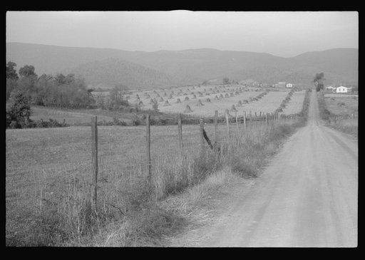 Scenes of the northern Shenandoah Valley, including the Resettlement Administration's Shenandoah Homesteads