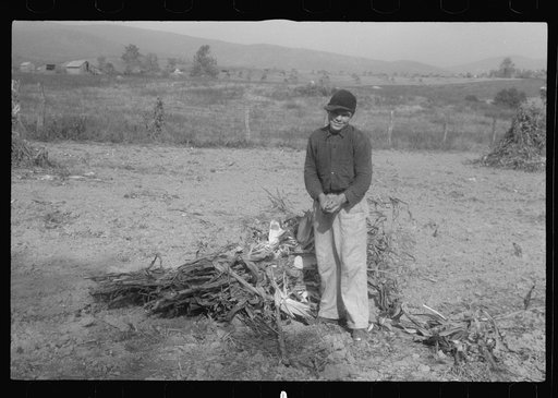 Scenes of the northern Shenandoah Valley, including the Resettlement Administration's Shenandoah Homesteads