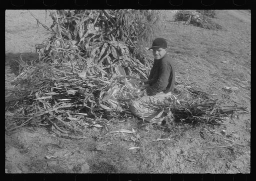 Scenes of the northern Shenandoah Valley, including the Resettlement Administration's Shenandoah Homesteads