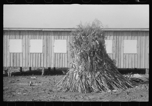 Scenes of the northern Shenandoah Valley, including the Resettlement Administration's Shenandoah Homesteads