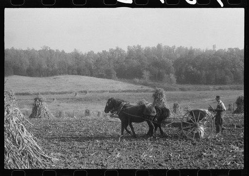 Scenes of the northern Shenandoah Valley, including the Resettlement Administration's Shenandoah Homesteads