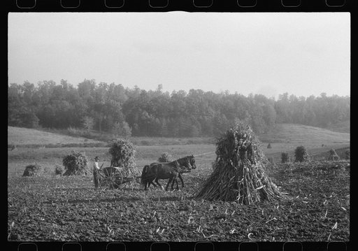 Scenes of the northern Shenandoah Valley, including the Resettlement Administration's Shenandoah Homesteads