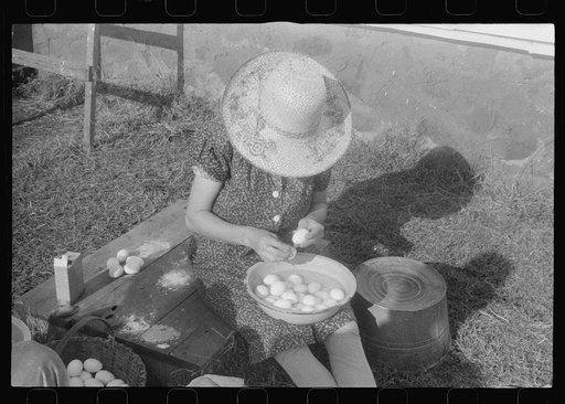 Scenes of the northern Shenandoah Valley, including the Resettlement Administration's Shenandoah Homesteads