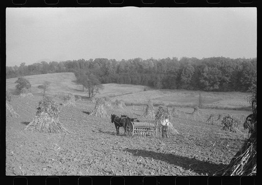 Scenes of the northern Shenandoah Valley, including the Resettlement Administration's Shenandoah Homesteads