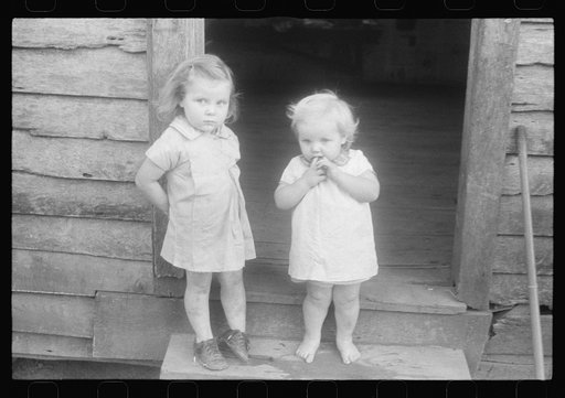 Scenes of the northern Shenandoah Valley, including the Resettlement Administration's Shenandoah Homesteads