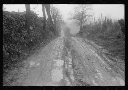 Scenes of the northern Shenandoah Valley, including the Resettlement Administration's Shenandoah Homesteads