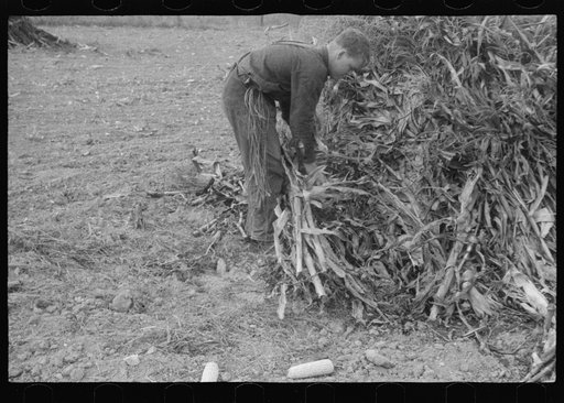 Scenes of the northern Shenandoah Valley, including the Resettlement Administration's Shenandoah Homesteads