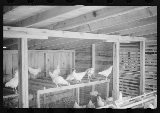 Scenes of the northern Shenandoah Valley, including the Resettlement Administration's Shenandoah Homesteads