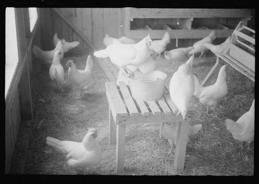 Scenes of the northern Shenandoah Valley, including the Resettlement Administration's Shenandoah Homesteads