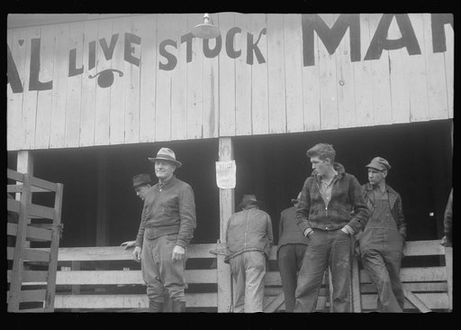 Scenes of the northern Shenandoah Valley, including the Resettlement Administration's Shenandoah Homesteads