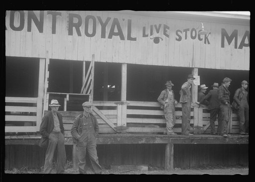 Scenes of the northern Shenandoah Valley, including the Resettlement Administration's Shenandoah Homesteads