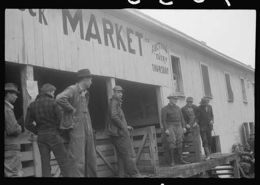 Scenes of the northern Shenandoah Valley, including the Resettlement Administration's Shenandoah Homesteads