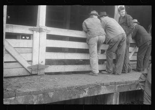 Scenes of the northern Shenandoah Valley, including the Resettlement Administration's Shenandoah Homesteads