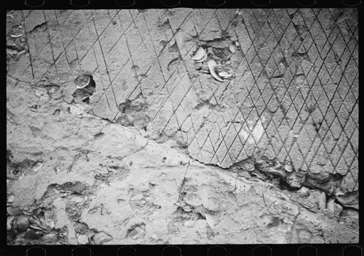 Untitled photo, possibly related to: Ruins of supposed Spanish mission, Georgia