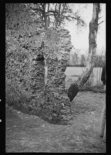Untitled photo, possibly related to: Tabby construction. Ruins of supposed Spanish mission, St. Marys, Georgia
