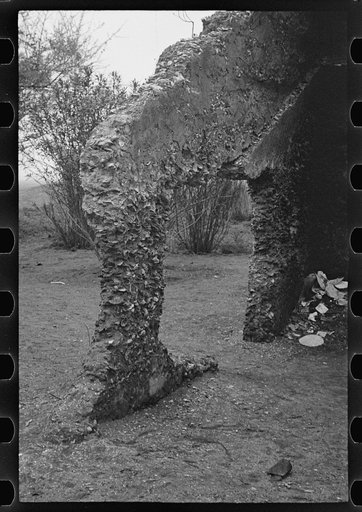 Untitled photo, possibly related to: Tabby construction. Ruins of supposed Spanish mission, St. Marys, Georgia