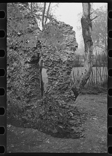 Untitled photo, possibly related to: Tabby construction. Ruins of supposed Spanish mission, St. Marys, Georgia