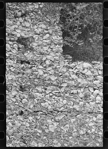Untitled photo, possibly related to: Tabby construction. Ruins of supposed Spanish mission, St. Marys, Georgia