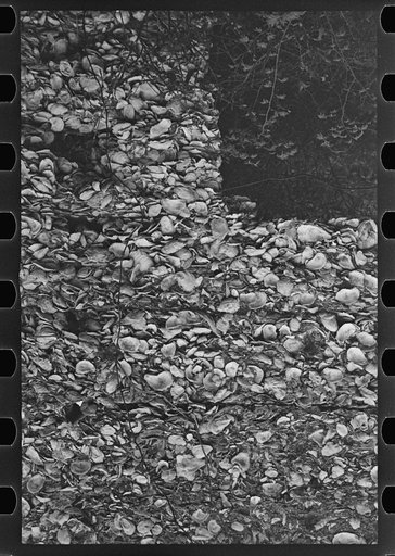 Untitled photo, possibly related to: Tabby construction. Ruins of supposed Spanish mission, St. Marys, Georgia