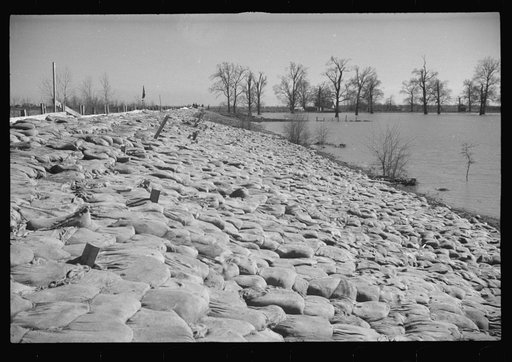 The Bessie Levee augmented with sand bags during the 1937 flood near Tiptonville, Tennessee