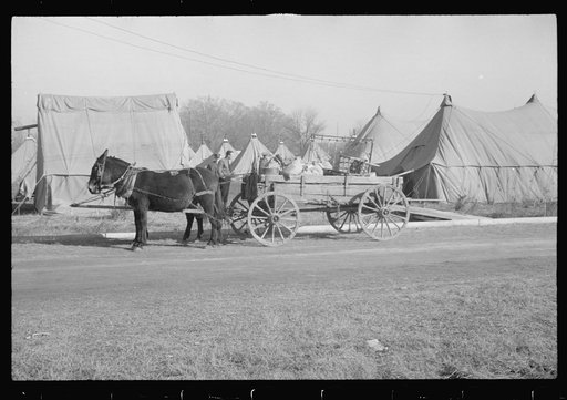 Untitled photo, possibly related to: Refugees lined up at meal time in the camp for white flood refugees in Forest City, Arkansas