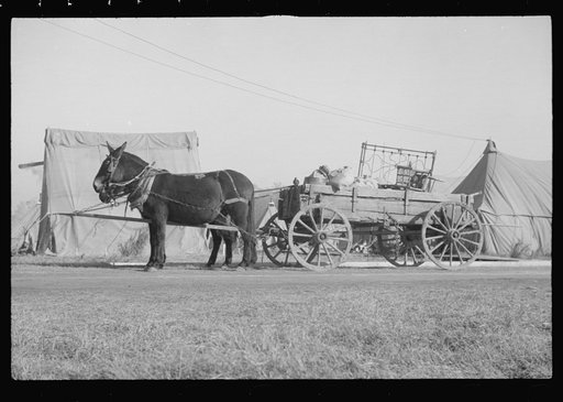 Untitled photo, possibly related to: Refugees lined up at meal time in the camp for white flood refugees in Forest City, Arkansas