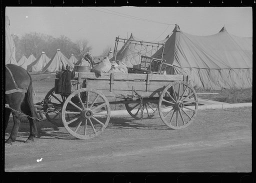Untitled photo, possibly related to: Refugees lined up at meal time in the camp for white flood refugees in Forest City, Arkansas